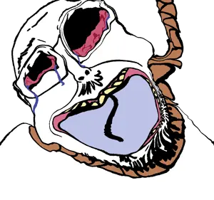 aliased berniecuck.png