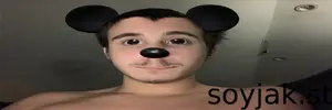 mickey banner.png