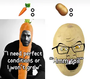 carrot god.png