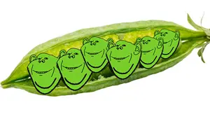 impish soyak ears, bald, closed mouth, ear, ears, green sclera, green skin, green teeth, head, head only
