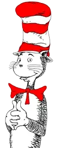 cat in the hat.png