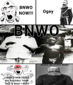 BNWO.png