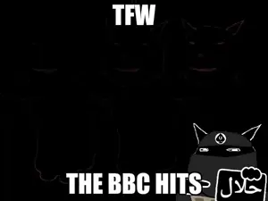 gapejak, massjak, massmeowjak, wholesome soyjak, massmeowparty, 4soyjaks, animal, animated, arab, black skin