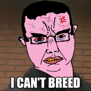 meme.png