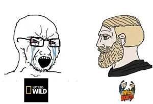 yes chad, soyak, soyak (crying), 1soyjak, angry, bald, beard, black glasses, blonde hair, bloodshot eyes