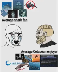 yes chad, soyak, soyak (crying), average enjoyer, bald, black glasses, black text, bloodshot eyes, bull shark, bullsahrk
