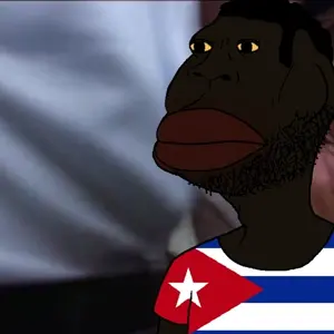 meximutt, bantujeet, bantumutt, bantunigger, braziljeet, brazilmutt, big lips, big nose, black hair, black skin