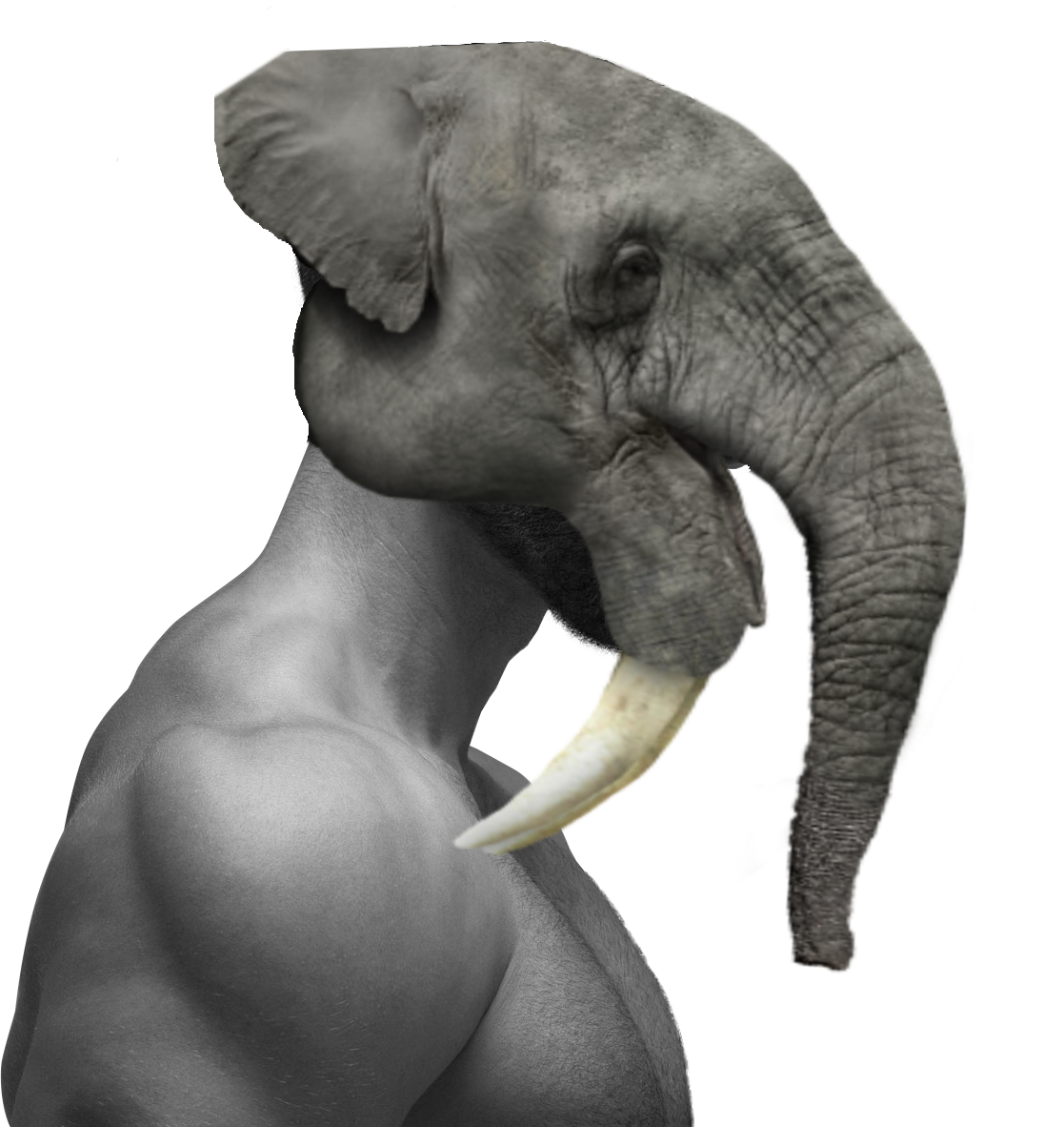 gigachad, 1nas, animal, black hair, buff, closed mouth, ear, elephant, elephant ears, gray skin