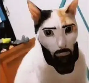 gigachad, 1nas, animal, beard, black hair, buff, cat, cat ears, closed mouth, desk
