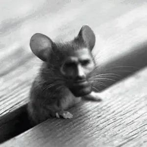 gigachad, gigafly, animal, beard, black hair, buff, bug, building, buildings, city