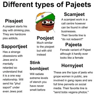 pepe, brownoid, india, indian, jeet, pajeet, ranjeet, shitskin, white background, india