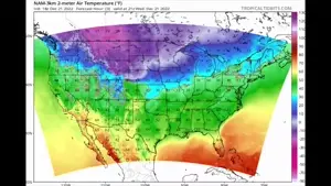 trim.BD7FB5FE-7313-45EB-9C90-B0C2025B8D99-[00.00.000-00.57.283]-audio.webm