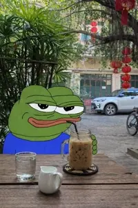 apu, pepe, amphibian, animal, apustaja, big lips, black eyes, blue shirt, car, closed mouth