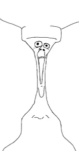 unknown, 1soyjak, bald, collarbone, front view, gaping mouth, looking at you, minion, no beard, no glasses