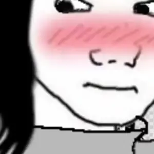cinnta re, crying wojak, female wojak, tung tung tung sahur, wojak, chudjak, chudjak front, pol face, its over, animated