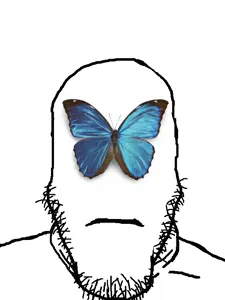 markiplier soyjak, neutralplier, 1soyjak, animal, blue, bug, butterfly, closed mouth, front view, insect