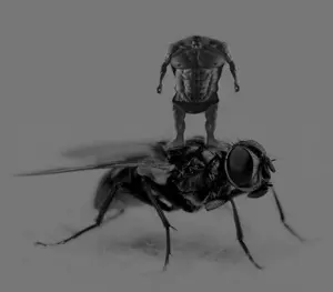 gigachad, gigafly, genre defining, 2nas, animal, beard, black hair, buff, bug, closed mouth