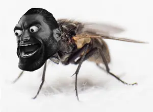 gigachad, gigafly, 1nas, animal, beard, big eyes, black hair, bug, bugs, fly