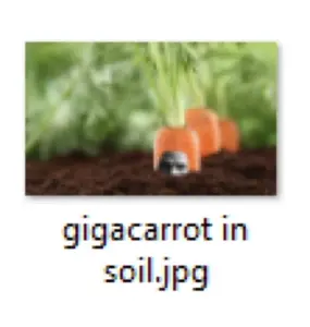 gigachad, carrot, dirt, english text, file, filename, garden, gardening, gray skin, head
