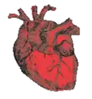 accessory, heart, heart (body part), i heart, realistic heart, transparent background