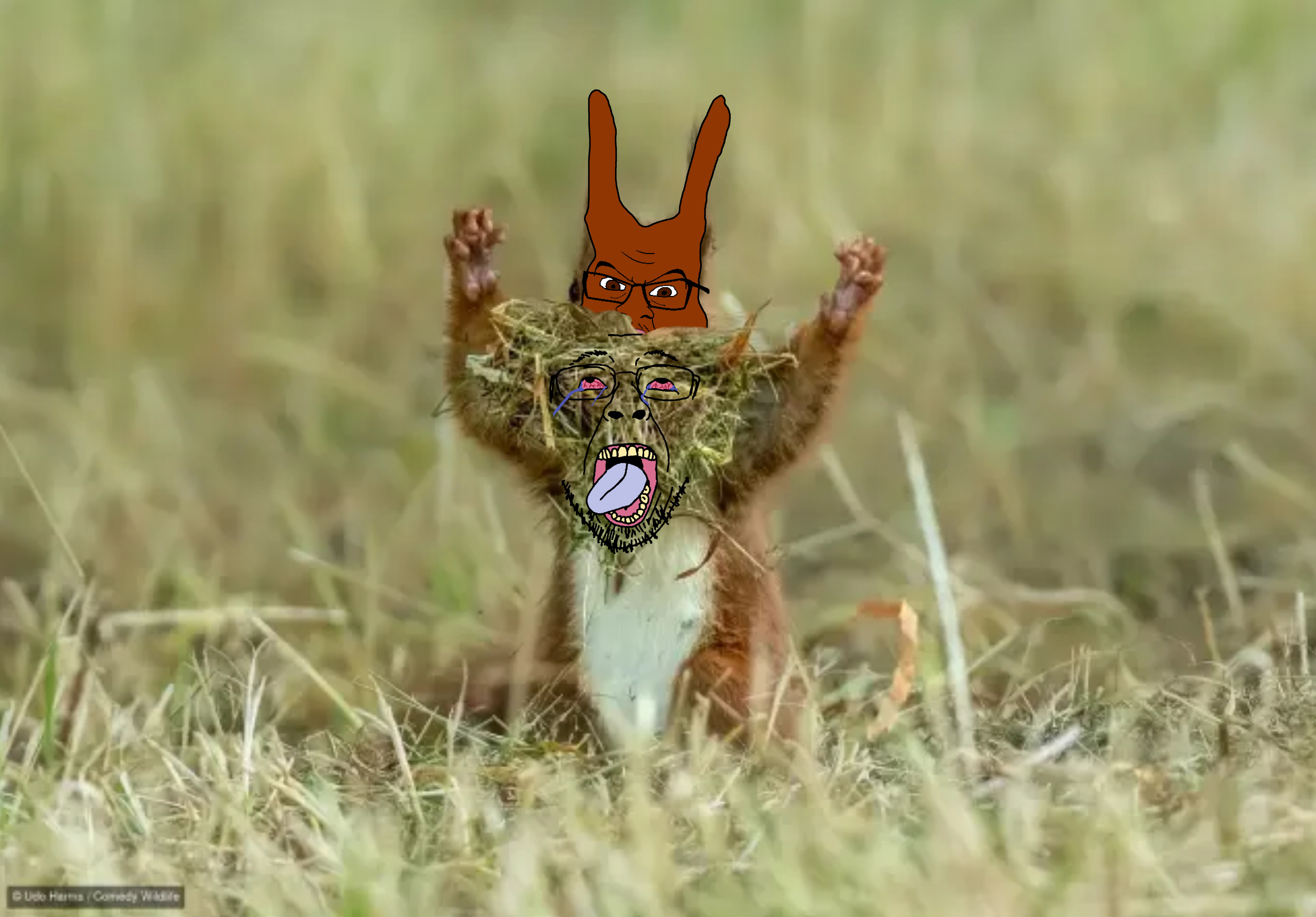 bernd, feraljak, feralsquirrel, hanging troonjak, troonjak, squirreljak, 2soyjaks, ack, angry, animal