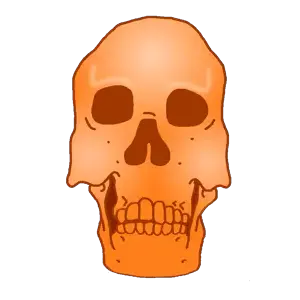 markiplier soyjak, neutralplier, skeletonjak, 1soyjak, bald, bone, bones, closed mouth, doom, key