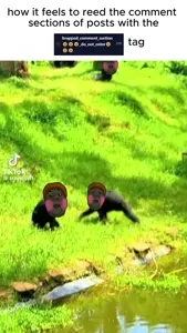 dan, gigachad, nophono, alicia, bernd, markiplier soyjak, hanging troonjak, science lover, troonjak, hunky twink sex machine