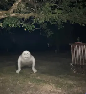 Is that a gooby?