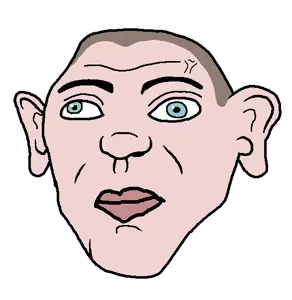 kurwa bobr, sheeeit, blue eyes, brown hair, closed mouth, ear, hair, head, kurwa, polish