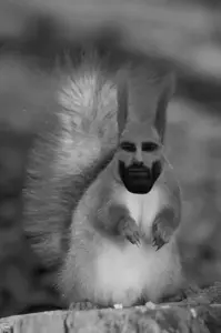 GIGA I’M NUTS!!!