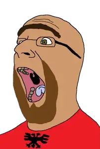 gerd, 1soyjak, albania, albanian, animal, bald, beard, blue tongue, brown beard, brown hair