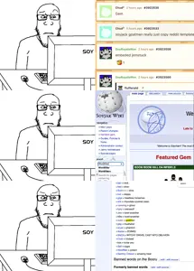 daily occurrence