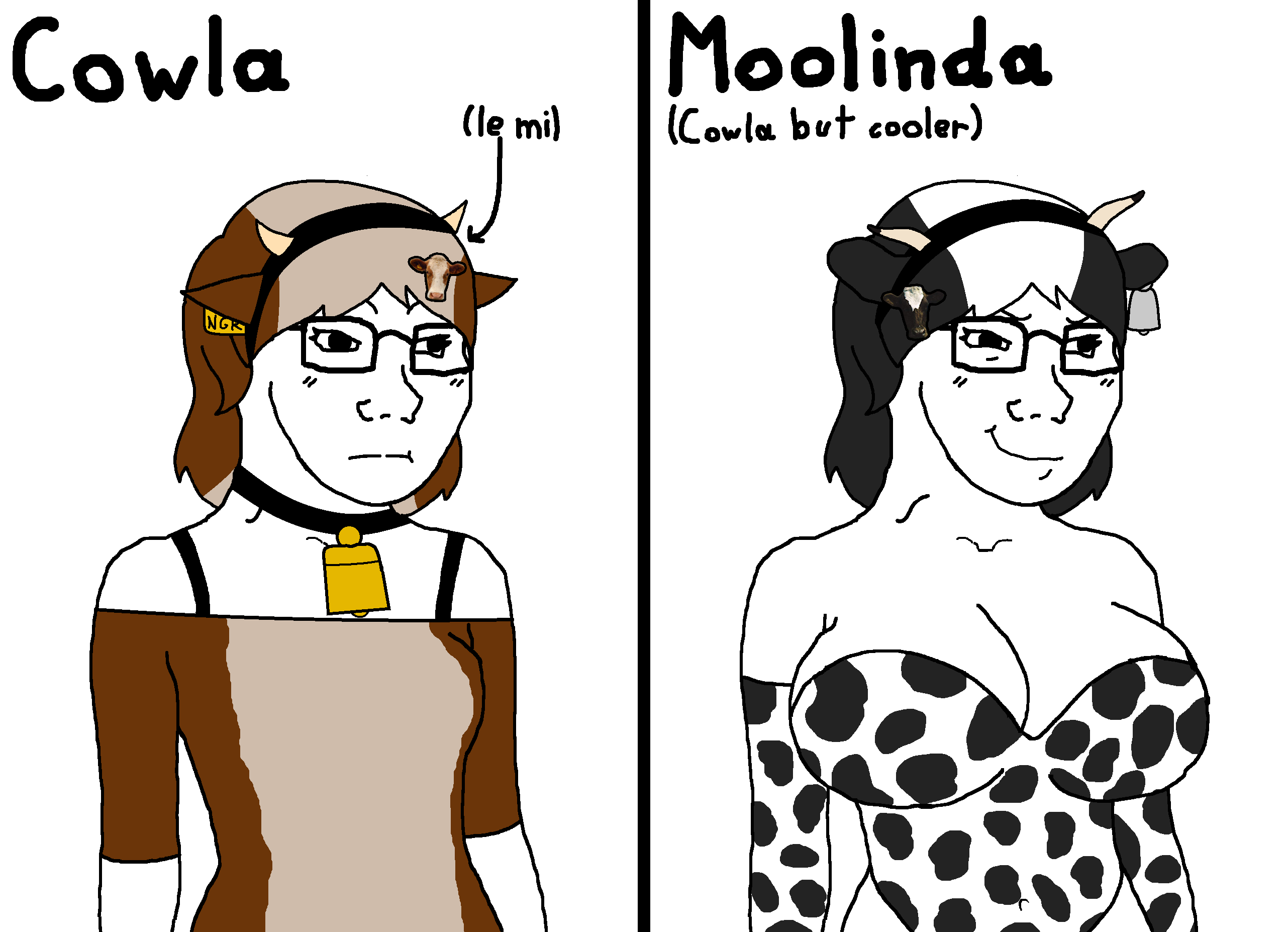 cowla, cracker cow, moolinda, nigger cow, soyak, female soyak, soyak (smug), femjak, foidjaks, 2soyjaks