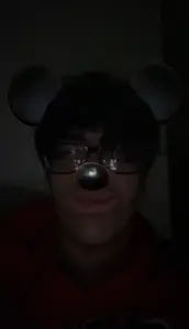 mickey mouse, animal, big ears, big lips, black eyes, black hair, brown skin, closed mouth, ear, front view
