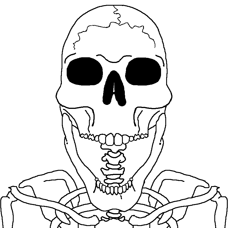 cobson, cobson front2, skeletonjak, 1soyjak, bald, bone, bones, front view, looking at you, no beard