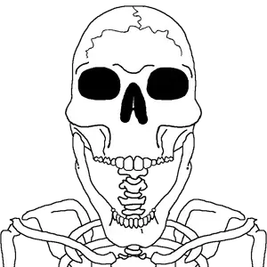 cobson, cobson front2, skeletonjak, 1soyjak, bald, bone, bones, front view, looking at you, no beard