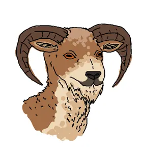 Ustyurt Mountain sheep
