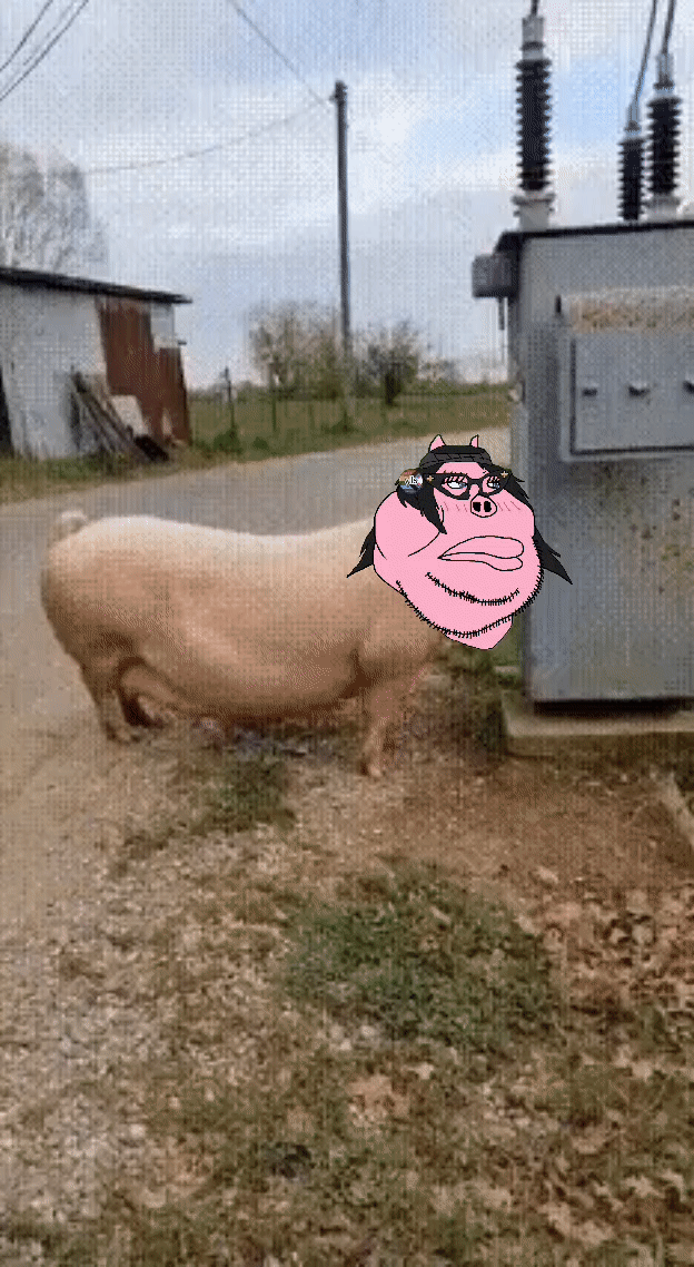 bernd, meximutt, troonjak, 2soyjaks, angry, animal, black eyes, black hair, chubby, closed mouth