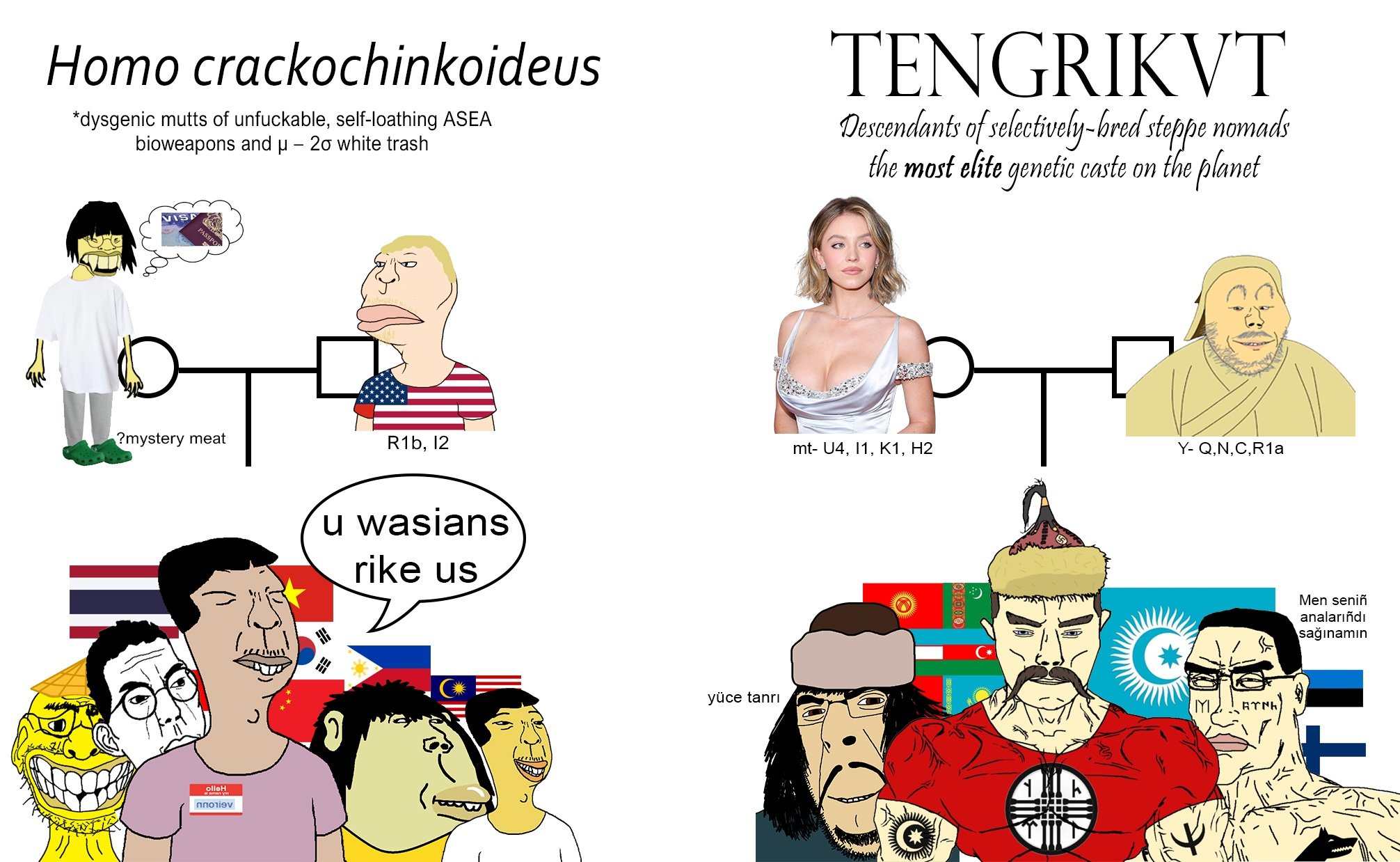 chudjak, cobson, impish soyak ears, meximutt, soykio kid, brazilmutt, chudjak front, muscular chud, nipmutt, nunavut asiamutt