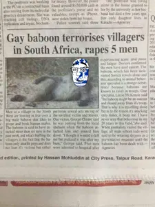 feraljak, tetojak, wholesome feraljak, 1soyjak, alawite, arabic, arabic text, arms, article, baboon