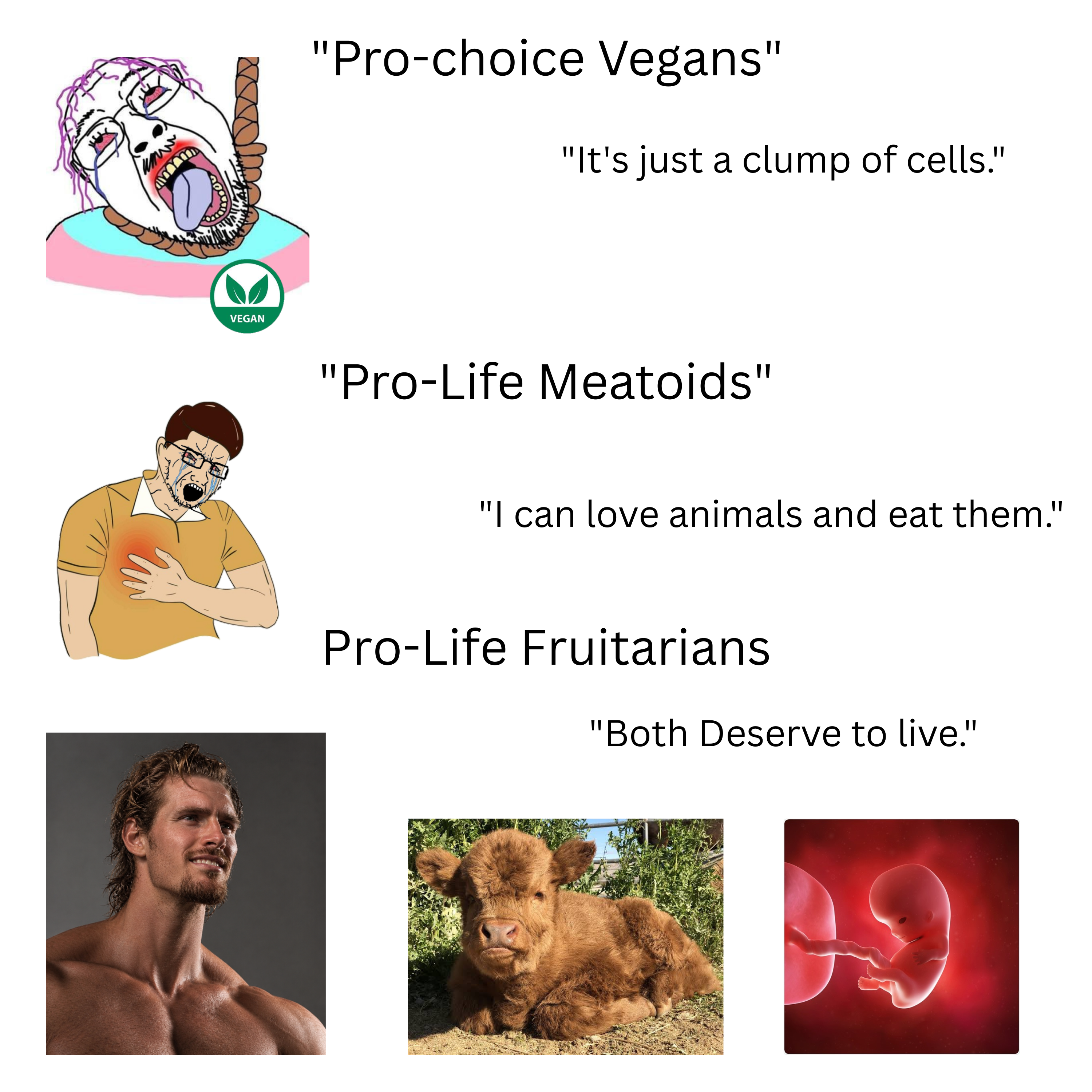 fruitjeet, gigachad, bernd, soyak, hanging troonjak, troonjak, heartatjak, 2soyjaks, abortion, ack