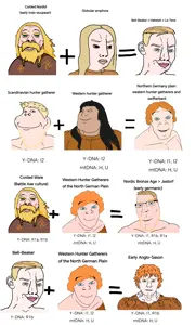 bernd, chudjak, cobson, feraljak, impish soyak ears, meximutt, bernhardt, chudjak front, henry, mexiaryan
