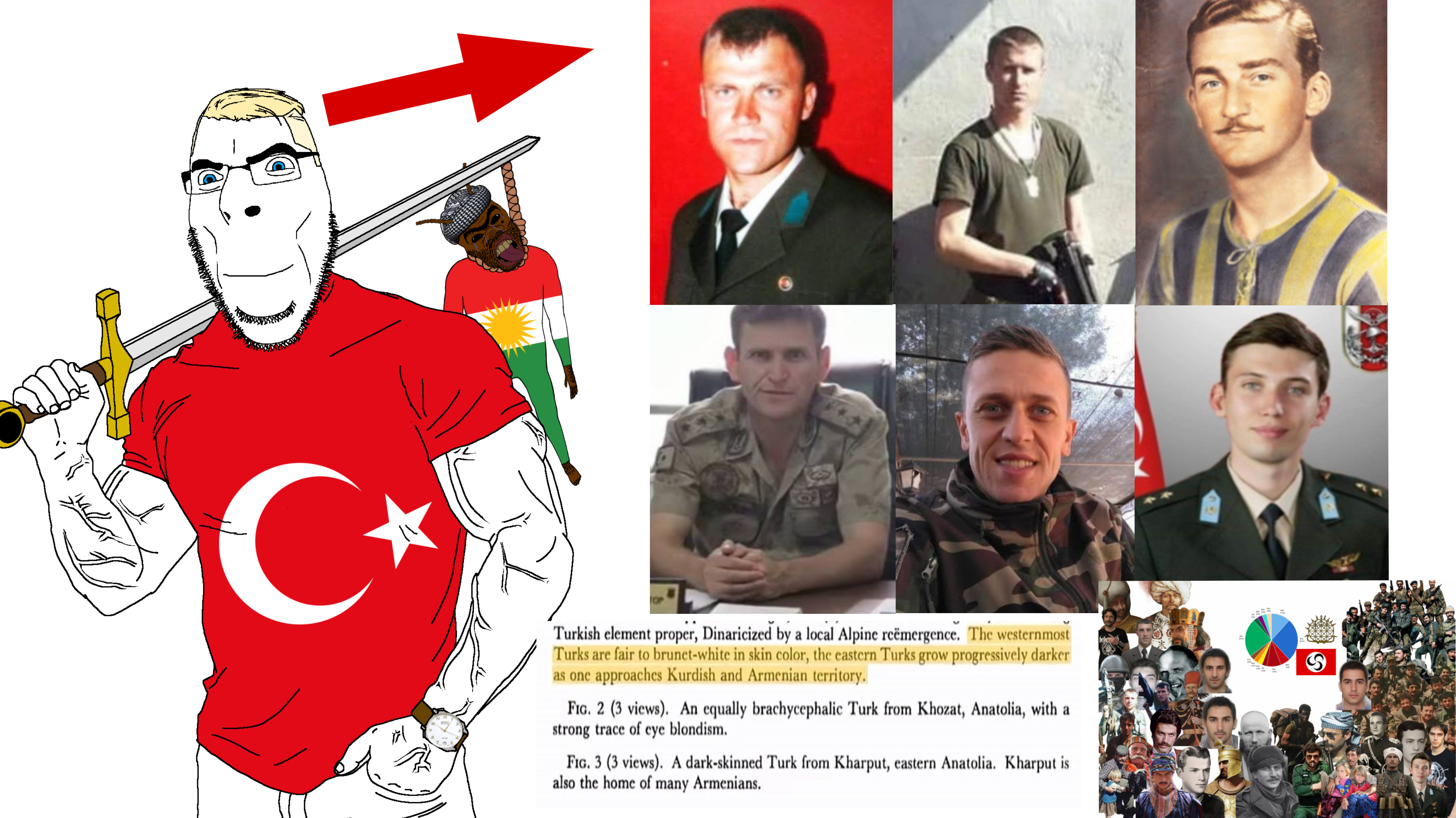 chudjak, cobson, feraljak, muscular chud2, aryan, 1soyjak, a10 eyes, anatolia, beard, blonde hair