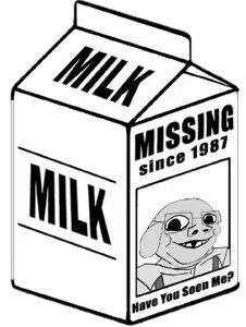 janny milk carton.png