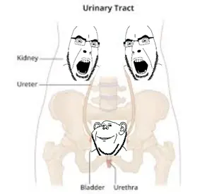 cobson, impish soyak ears, 3soyjaks, anatomy, angry, bladder, closed mouth, ear, glasses, grin