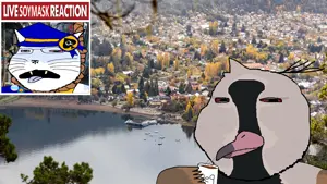awardsan, gapejak, massjak, massmeowjak, masstweetjak, wholesome soyjak, animaljaks, animal, award, beak