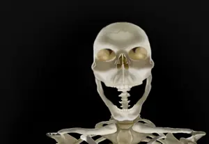 skull emoji