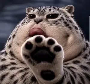 tacoblimp, 1soyjak, animal, animal ears, big lips, brap, brown eyes, cat, chin, cute