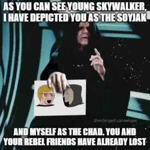 As you can see young skywalker, I have depicted you as the Soyjak and myself as the Chad.mp4
