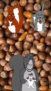 20230126_162003257.mp4